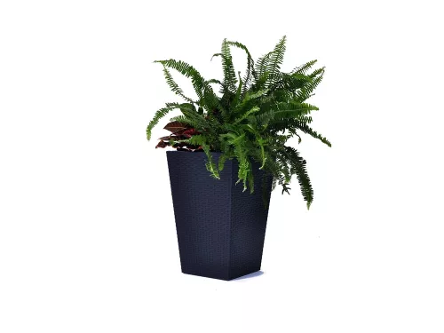Keter Rattan Planter M műrattan virágláda 55,4 L
