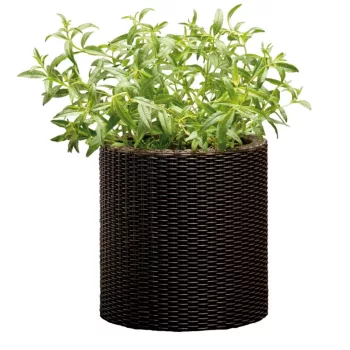 Keter Cylinder Planter műanyag kaspó kicsi