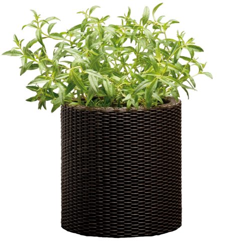 Cylinder Planter műanyag kaspó kicsi