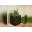 Keter Cube planter M műanyag kaspó, whiskey barna színű