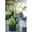 Keter Medium Cube planter L műanyag kaspó, whiskey barna