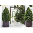Keter Medium Cube planter L műanyag kaspó, whiskey barna