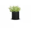 Keter Small cylinder planter műanyag kaspó, antracit színű