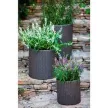 Keter Medium cylinder planter műanyag kaspó, whiskey barna