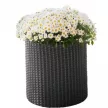 Keter Large cylinder planter műanyag kaspó, whiskey barna