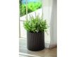 Keter S+M+L Cylinder planters műrattan kaspó szett, antracit színű