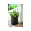 Keter S+M+L Cylinder planters műrattan kaspó szett, whiskey barna színű