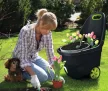 Keter Easy go XL műanyag kerti talicska 62L