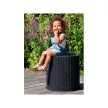 Keter Cool Stool műrattan party hűtőláda 39L, whiskey barna