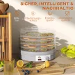 5 szintes élelmiszer-aszaló, 245 W-os, állítható hőmérséklet-szabályozással, szürke