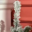 Mini-Weihnachtsbaum Ø40x90 cm, Kunstschnee, 60 LEDs, feuerfest, Kunststoff, Grün/Weiß