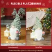  Weihnachtszwerg mit Laterne, LED, batteriebetrieben, wetterfest, 28x21x42 cm