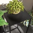 Virágtartó állvány, 2 db-os szett, skandináv design, fém váz, 58,5/65 cm magas, fekete