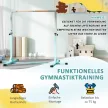 Gimnasztikai rúd, vízszintes rúd, 13 fokozatban állítható magasságú, teherbírás akár 75 kg, acél, bükkfa, világoskék