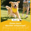  Hundewagen Faltbar Hundebuggy mit Reflektorstreif Aufbewahrungskorb Kissen für kleine Hunde bis 10 kg 77x44x102 cm Grau