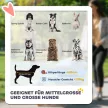 Összecsukható kutyaszállító kocsi, egykattintásos rendszerrel, összecsukható, 2 biztonsági pórázzal, piros