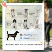 Kutyakocsi, összecsukható kutyakocsi közepes méretű kutyáknak, 4 kerékkel ellátott kisállat babakocsi, biztonsági pórázok, fékek, szürke