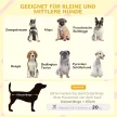Kutyaház, tetőterasz, lépcső, ablak, hasmagasság, natúr fa, világos szürke, 121 x 77 x 78 cm