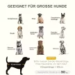  Hundebett, Outdoor-Hundebett, klappbar, atmungsaktiv, Schwarz