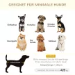 Kisállat kanapé, kutyaszőnyeg, kutyafekhely, kutyakanapé, macskakanapé párnával, hátsó zsebbel, plüss habszivacs, fenyőfa, krémfehér, 70 x 47 x 30 cm