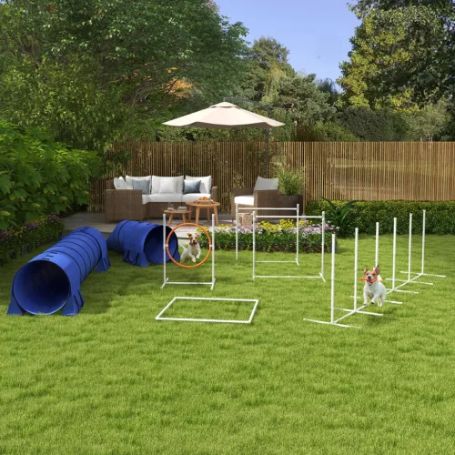 Kutyás agility szett, akadálypálya kutyáknak, 1 gumiabroncs, 2 alagút, 2 gát, 321 cm x 63 cm x 93 cm, kék + piros + fehér