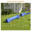 Kutyás agility szett, akadálypálya kutyáknak, 1 gumiabroncs, 2 alagút, 2 gát, 321 cm x 63 cm x 93 cm, kék + piros + fehér