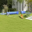 Kutyás agility szett, akadálypálya kutyáknak, 1 gumiabroncs, 2 alagút, 2 gát, 321 cm x 63 cm x 93 cm, kék + piros + fehér