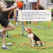 Agility készlet kutyáknak, 11 darabos agility felszerelés kutyáknak 2 alagúttal, állítható magasságú ugrógyűrűvel és gáttal, szlalom rúddal