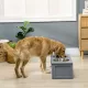  Futterstation, 2 Fressnäpfe je 2 Liter, Edelstahl, mit Schublade, für mittlere Hunde, grau, 60 x 30 x 24cm