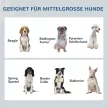  Futterstation, 2 Fressnäpfe je 2 Liter, Edelstahl, mit Schublade, für mittlere Hunde, grau, 60 x 30 x 24cm