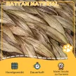 Rattan macskakosár, macskabarlang, macskaház, macskafekhely párnával, kisállatfekhely, vízijácint, kávé, 40 x 37 x 51 cm