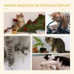 Macskafa, játszófa, macskakaparófa lépcsőkkel, 5 szint, bézs/szürke, 48,5 x 48,5 x 100 cm (H x Sz x M)