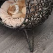 Rattan macskaház párnával, macskafekhely, macskabarlang emelt lábakkal, ezüstszürke, Ø52 x 58 cm