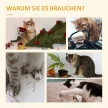 macskabarlanggal, játékkal együtt, szizál plüss, khaki + bézs + kávé színben