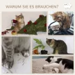 Macskamászófal szett, 4 részes, macskalépcsővel, függőággyal, platformmal és kaparófával, bézs
