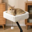  Katzen-Schreibtischbett, Katzenbett für Schreibtisch mit 360°Drehung, Hängeball verstellbare Klemme für Katze unter 6 kg