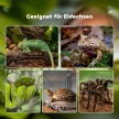 Terrárium hüllőknek, Hüllőetető Doboz, Üveg Terrárium Kétéltűeknek és Pókoknak Hőmérővel, Hüllő Tenyészdoboz Csigáknak, Kétéltűeknek, Rovaroknak és Teknősöknek, Fekete, 50 x 30 x 35 cm