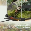 Üveg terrárium hüllőknek, kiemelt és vízálló talppal, gombzárral