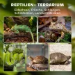 Üveg terrárium hüllőknek, kiemelt és vízálló talppal, gombzárral