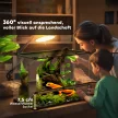 Üveg terrárium hüllőknek, kiemelt és vízálló talppal, gombzárral
