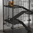 Hörcsögketrec üvegaljjal, 4-szintes hörcsögketrec kunyhóval és kiegészítőkkel, 78,5H x 48,5SZ x 80M cm, Fekete