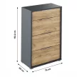 Fiókos komód, grafit/tölgyfa artisan, RIOMA NEW TYP 22