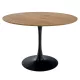 Étkezőasztal, kerek, tölgy/fekete, átmérő 110 cm, REVENTON NEW