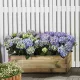 magaságyás LANITPLAST POTTING8 (S7231) LG2402