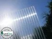 üvegház LANITPLAST KYKLOP2 2x4 m PC 4 mm LG4754