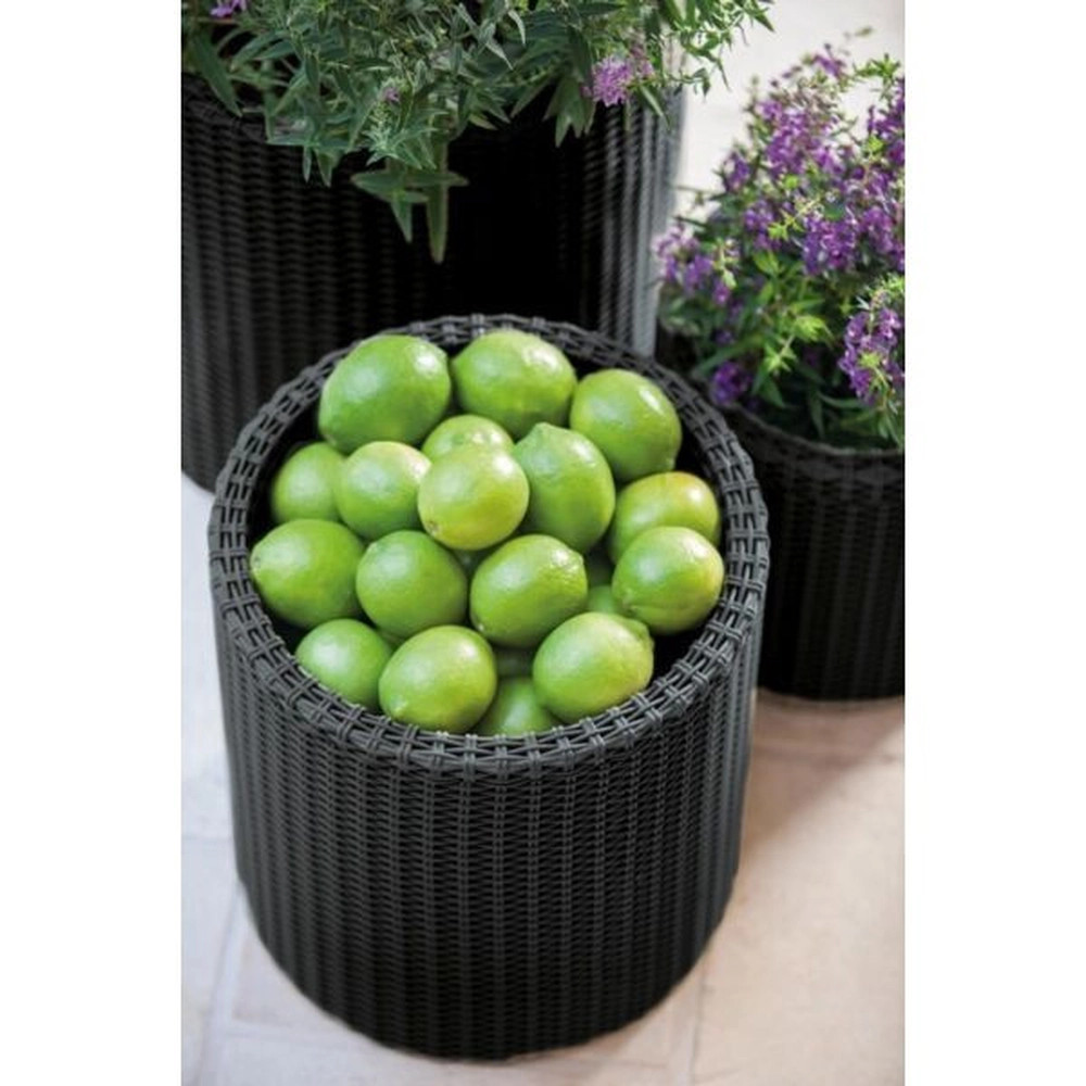 Keter S+M+L Cylinder planters műrattan kaspó szett, antracit színű